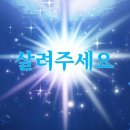 카페;랜 | [W.2] 웨딩 다이어리｜본식 타투 커버 ｜메이크업 랜상 예약후기｜타투 스프레이 ｜ 타투 커버 메이크업