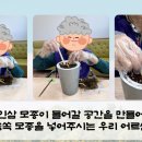 동해시 노인요양원 이미지