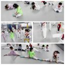 무덕태권도 이미지