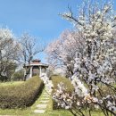 성호공원_식물원주변 이미지