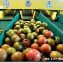 다해농장 이미지