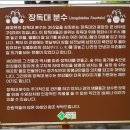 양주시 지역상징물 | [양평] 세미원 &amp; 두물머리