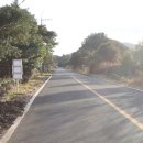 비자숲길15 이미지