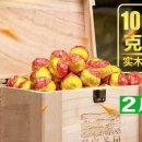 대평상회 이미지