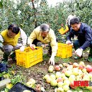 재민농장 이미지