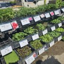 김해농약종묘사 이미지