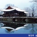 고향 - 서구 | 고향