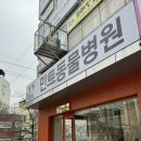 달성축산동물병원 | 하와이, 애견동반 해외여행, 검역대행, 민트동물병원, 강아지 검역 대행, 농림축산 검역본부, Hawaii)