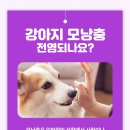 구미옥계동물병원 이미지