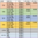 24년 설 선물 만감류 보고가셔요~ 이미지