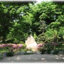 미아초등학교 이미지