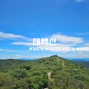원일식당앞(수세식) | [100대명산] 여름 야생화보러 다녀온 태백산 등산후기(유일사 ~ 장군봉 ~ 문수봉 ~ 당골코스)
