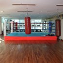 지인진복싱스포츠 이미지