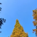 킹콩백화점 수원점 이미지