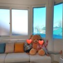 어,달달하리 이미지