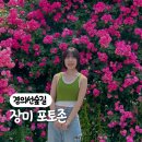 마포, 걷고싶은길 1코스 | 신촌 경의선숲길 연남동 연트럴파크 장미 구경