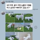 미스터몽