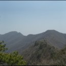 6월 2일 수요당일 ♣백화산 (1063,5m)경북 문경 ※나물산행 신청방 이미지