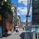 졸리 크래프트 이미지