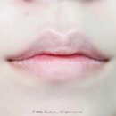 디어포포 (Dear Paw Paw) | DEAR DAHLIA 디어달리아 _ 2022 홀리데이 리미티드 에디션 아이섀도우 + 립스틱 크리스마스 선물로 딱 !