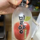 사과향이 일품인 [밀양 사과막걸리]후기
