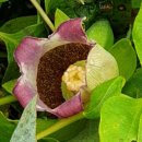 윤택농장 이미지