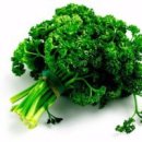 파슬리 이미지