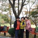 장유초등학교 이미지