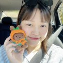 영락리 | [제주도2일] 서쪽 돌고래 스팟&amp; 즈물카페 후기 (+엉알해안,신도포구,영락리방파제,노을해안로,동일리포구)