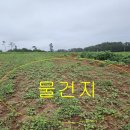 [국도77] 태안군 달산리 - 2517 | [국도77] 태안군 달산리