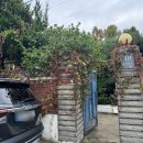 워너비어 이미지