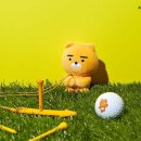 카카오g 스크린골프 네이버블로그