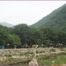 용소유원지 Daum카페