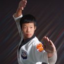 상록키즈태권도 이미지