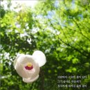 후엠아이 이미지