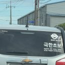 중앙이호상사(주) | 7월 둘째주 일상 나도 반짝반짝 빛나는 사람이 될 수 있을까?