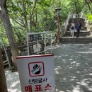 제주 산방산 암벽식물지대 | 제주 서귀포 산방산 설화와 자연의 길 아이랑 가볼만...스탬프 도장 위치 안내 이용 유산 역사 유래 후기