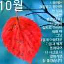 빨간우체통