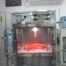 아쿠아 종합동물병원 이미지