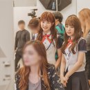 스쿨룩스 이미지