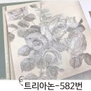 디자인포인트 이미지