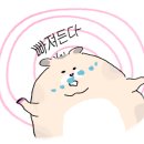 군산착한과일 이미지