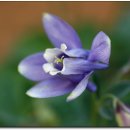 광주도자기엑스포장 이미지