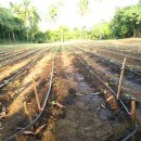 기두농장 이미지