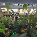 원성25길 이미지