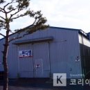 썬디엠주