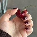 완산-169 | 전주 신시가지 네일 추천 다다다네일 연말네일