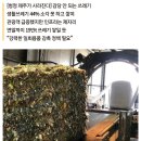 제주도 쓰레기,폐기물 (340톤 / 일) 이미지