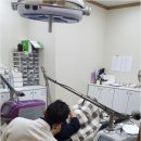 세란성형외과 네이버블로그