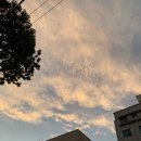 주바뷰티샵